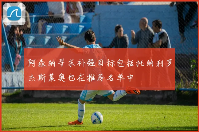 阿森纳寻求补强目标包括托纳利罗杰斯莱奥也在推荐名单中
